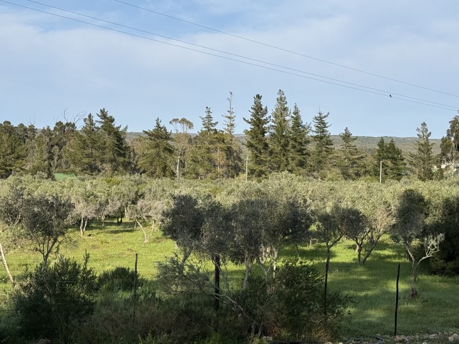 0 Bedroom Property for Sale in Stilbaai Rural Western Cape